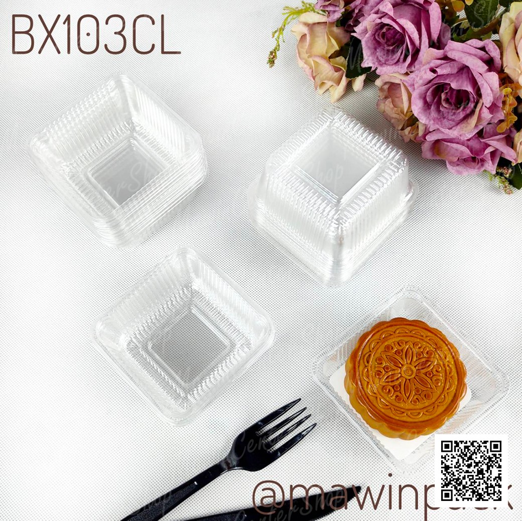 P101BX103CL-1