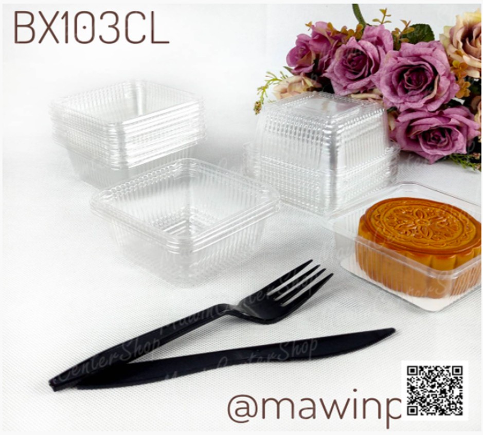 P101BX103CL