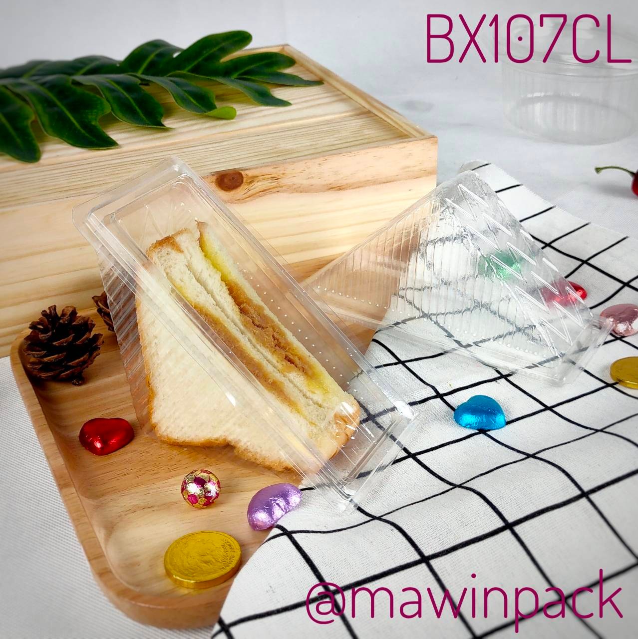 P101BX107CL-1