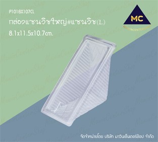 P101BX107CL-3