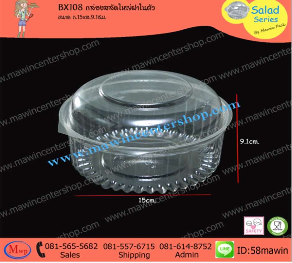 P101BX108