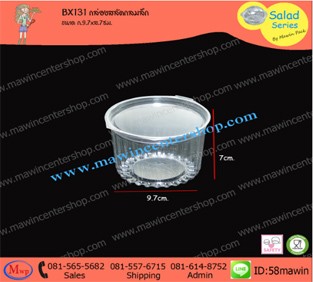 P101BX131CL