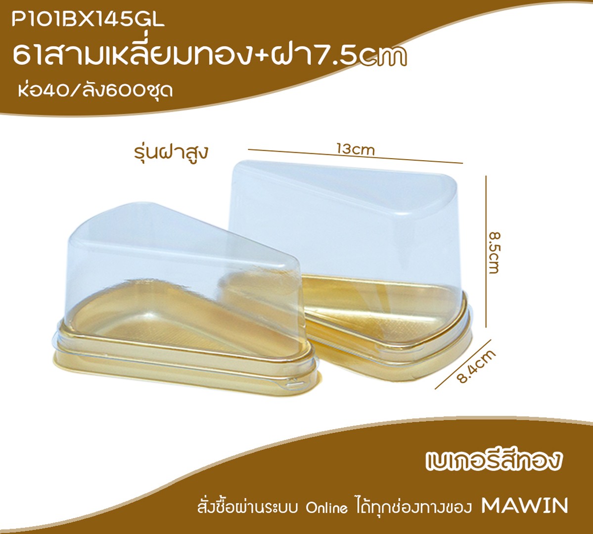 P101BX145GL