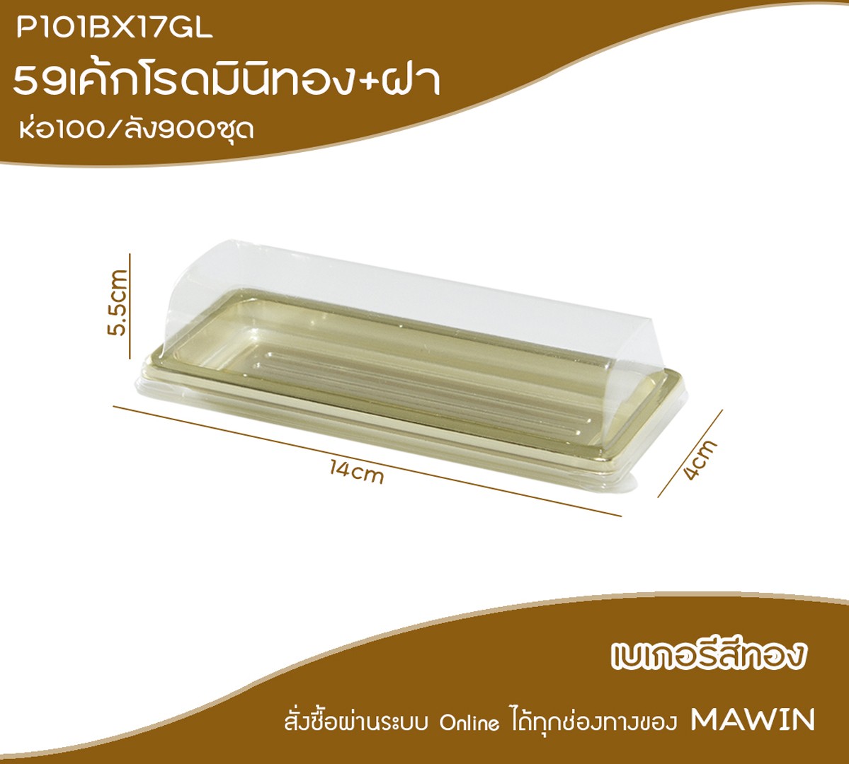 P101BX17GL