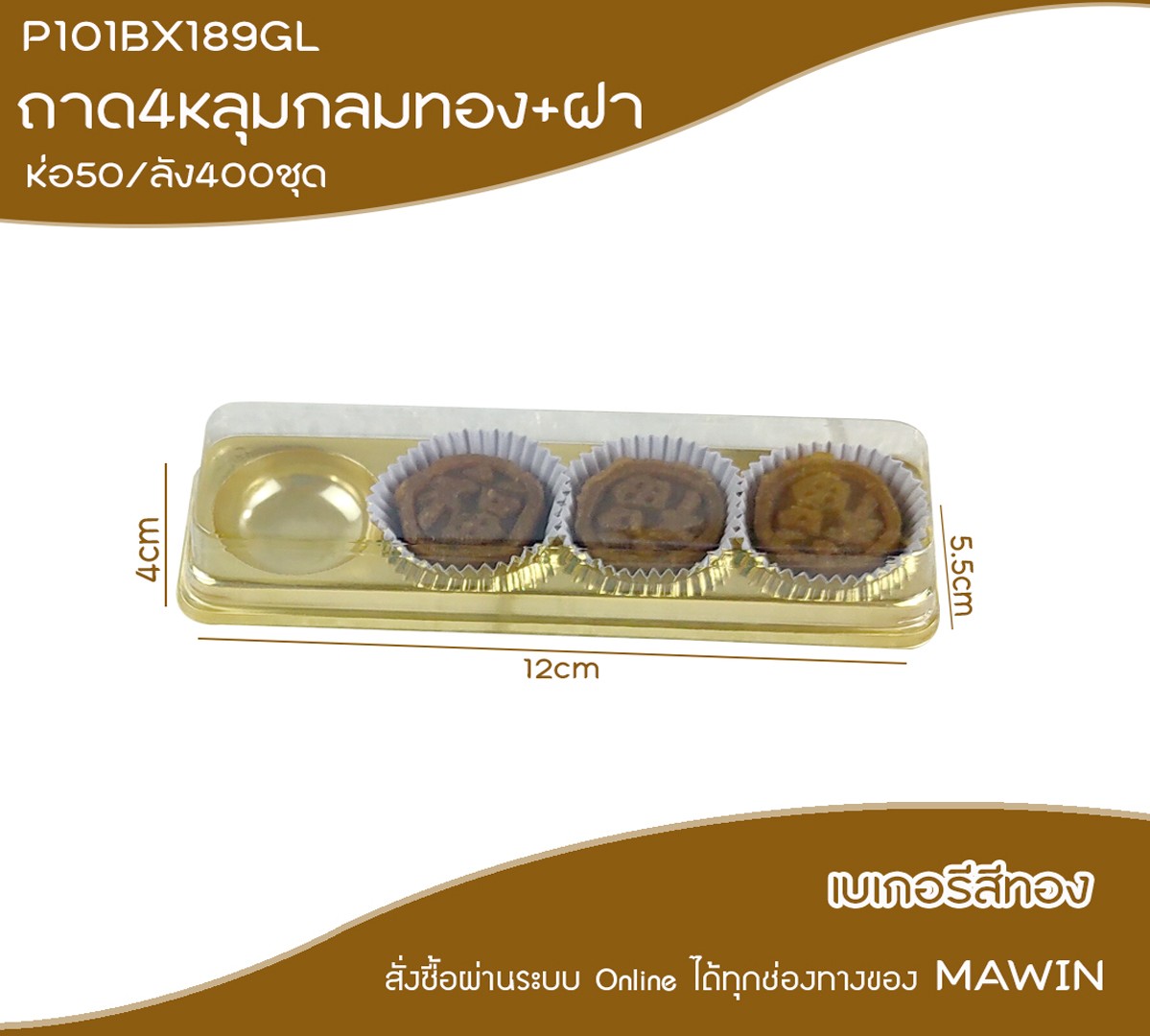 P101BX189GL