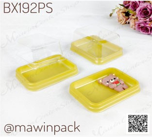 P101BX192PS