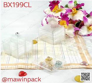P101BX199CL
