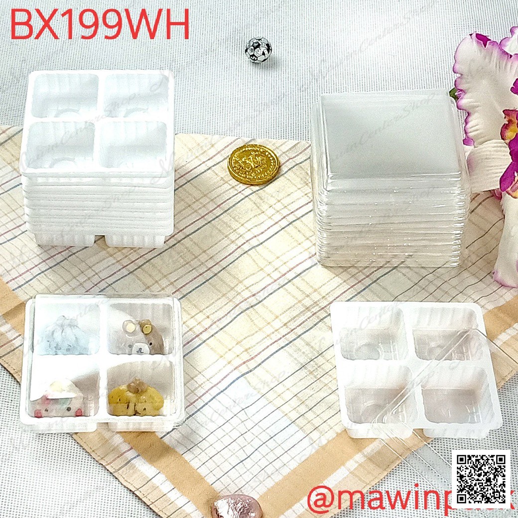 P101BX199WH-4