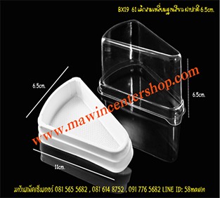 P101BX19WH