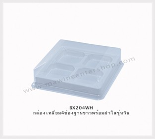 P101BX204WH