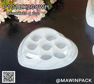 P101BX208WH