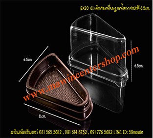P101BX20BR