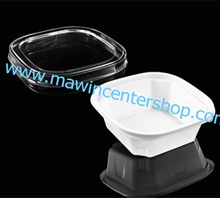 P101BX224WH