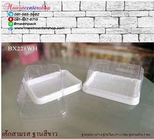 P101BX228WH