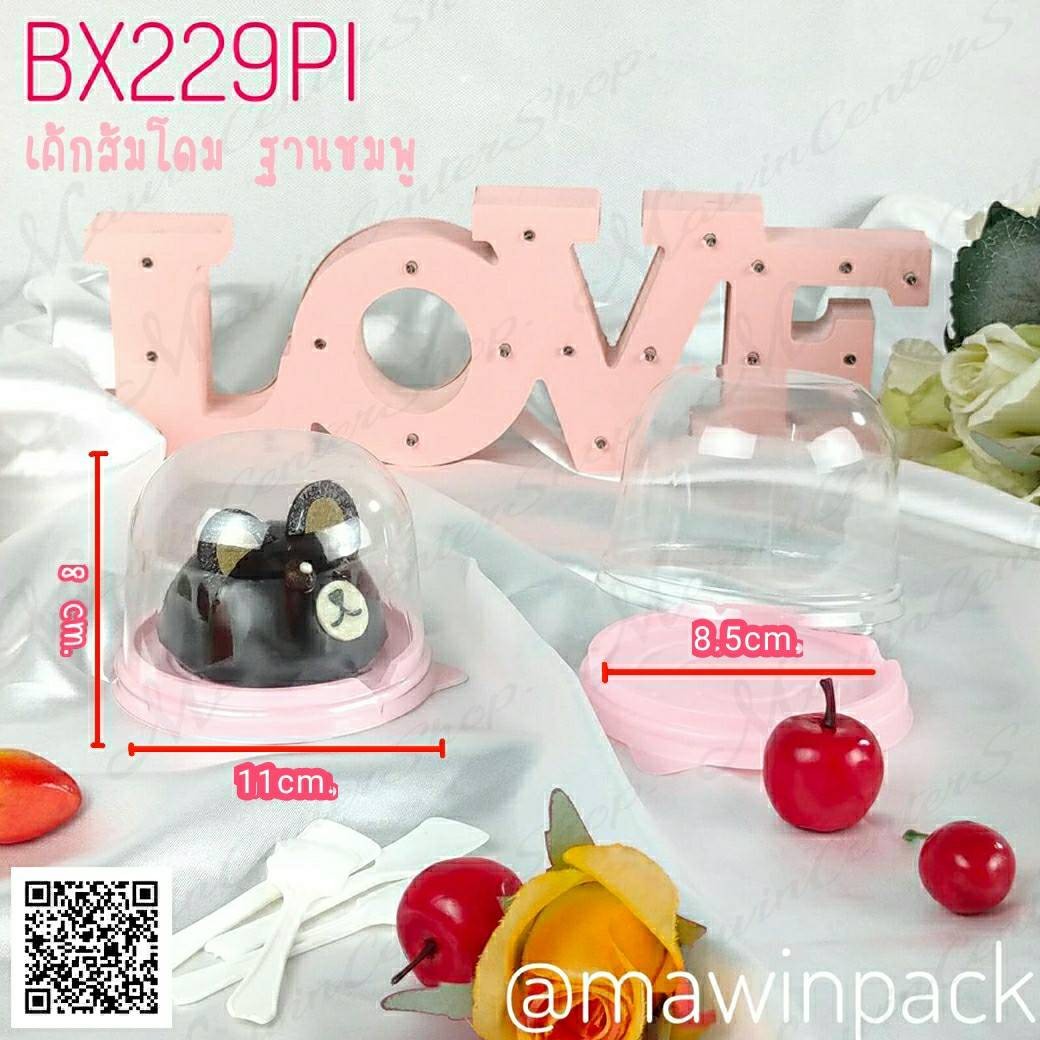 P101BX229PI