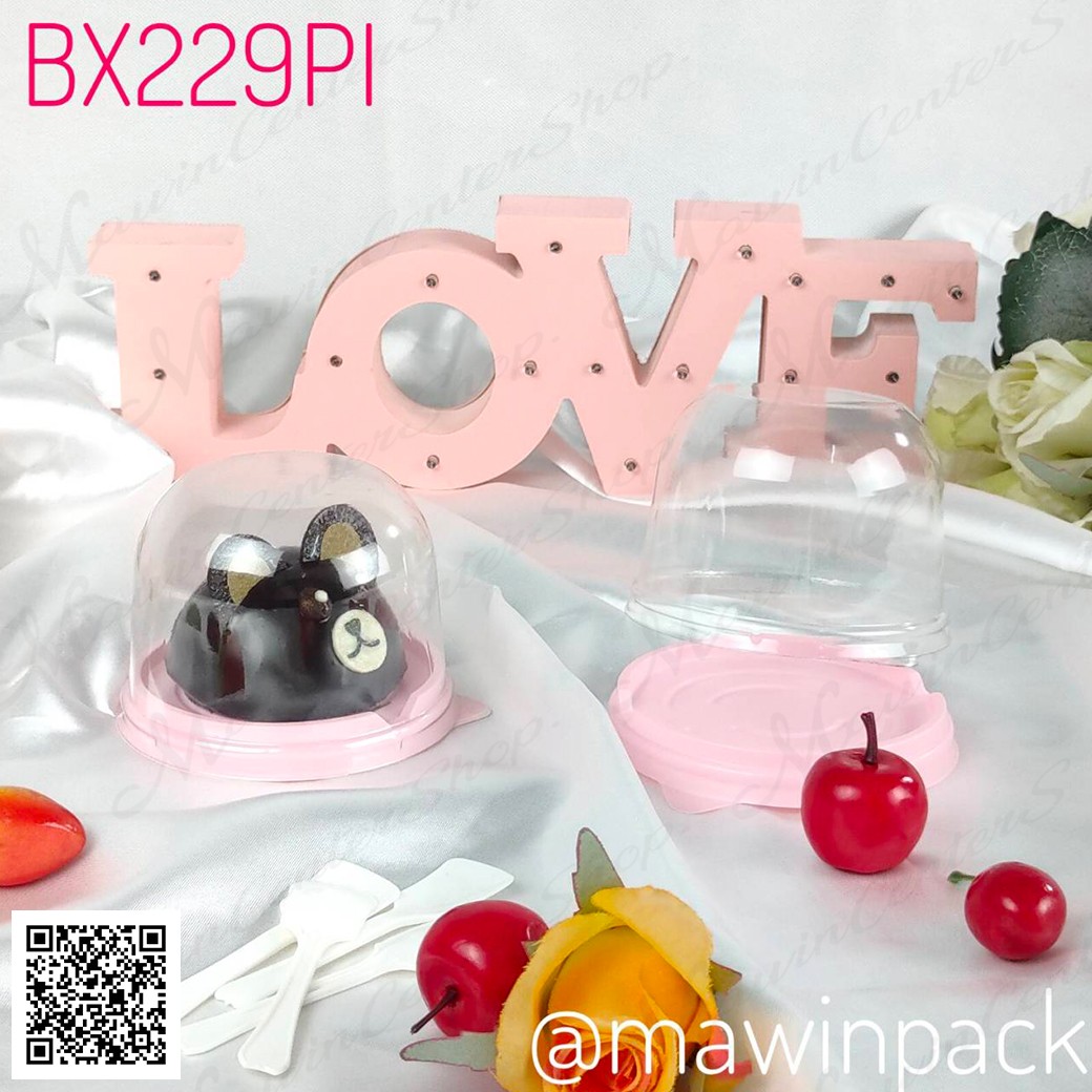 P101BX229PI