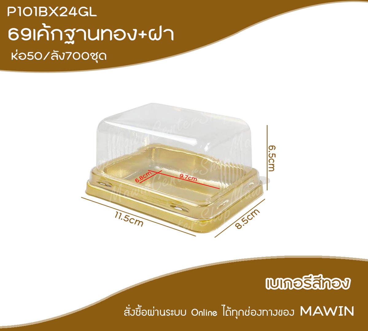 P101BX24GL