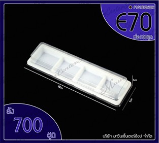 P101BX26WH