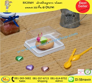 P101BX28WH