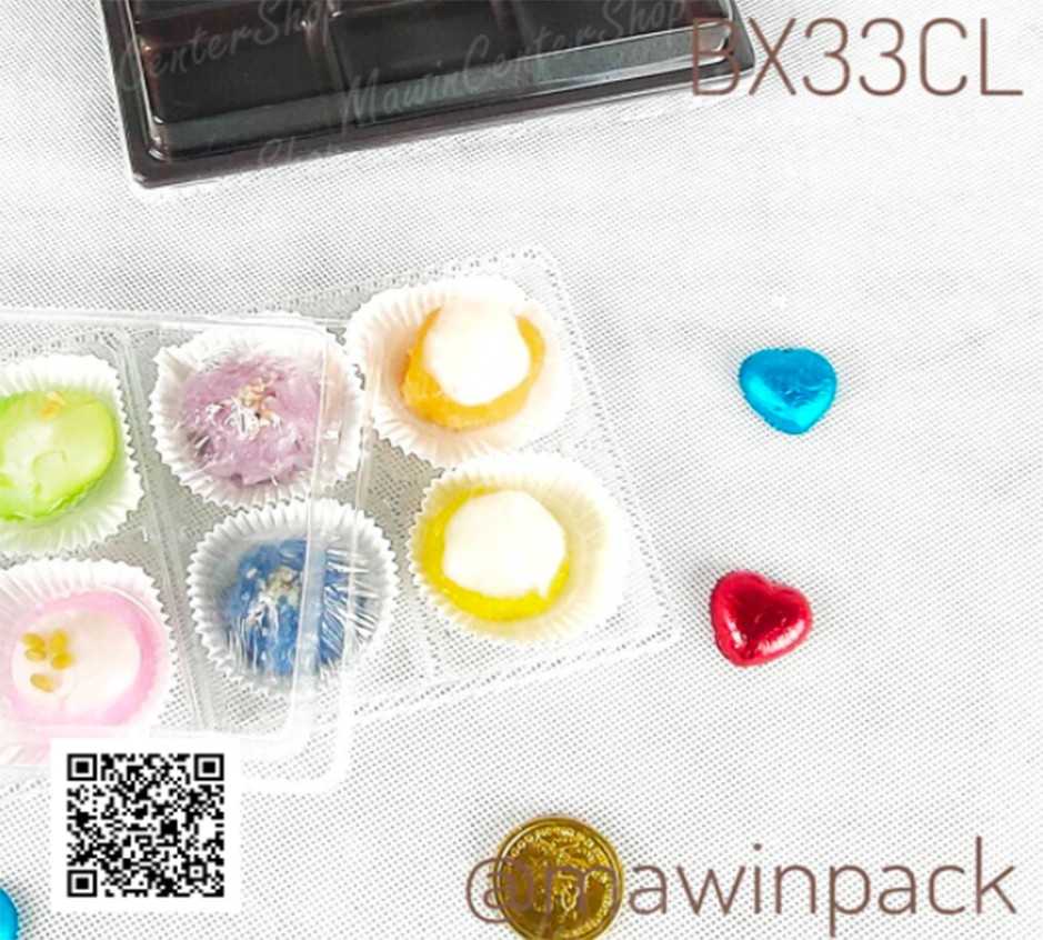 P101BX33CL