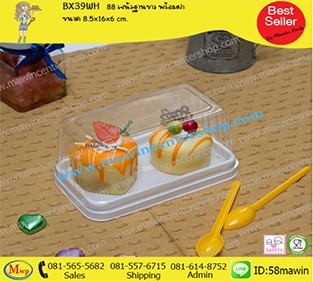 P101BX39WH
