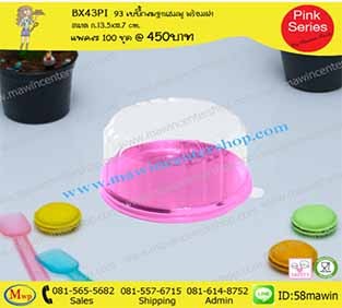 P101BX43PI