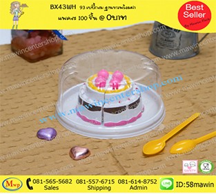 P101BX43WH