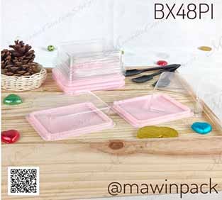 P101BX48PI