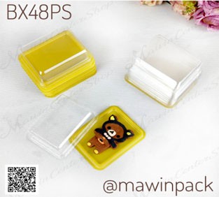 P101BX48PS