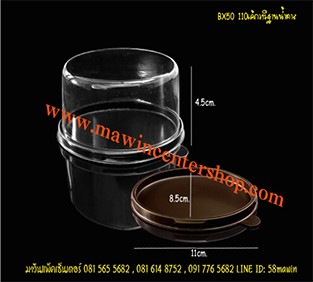 P101BX50BR