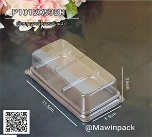 P101BX53BR