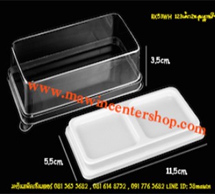 P101BX53WH