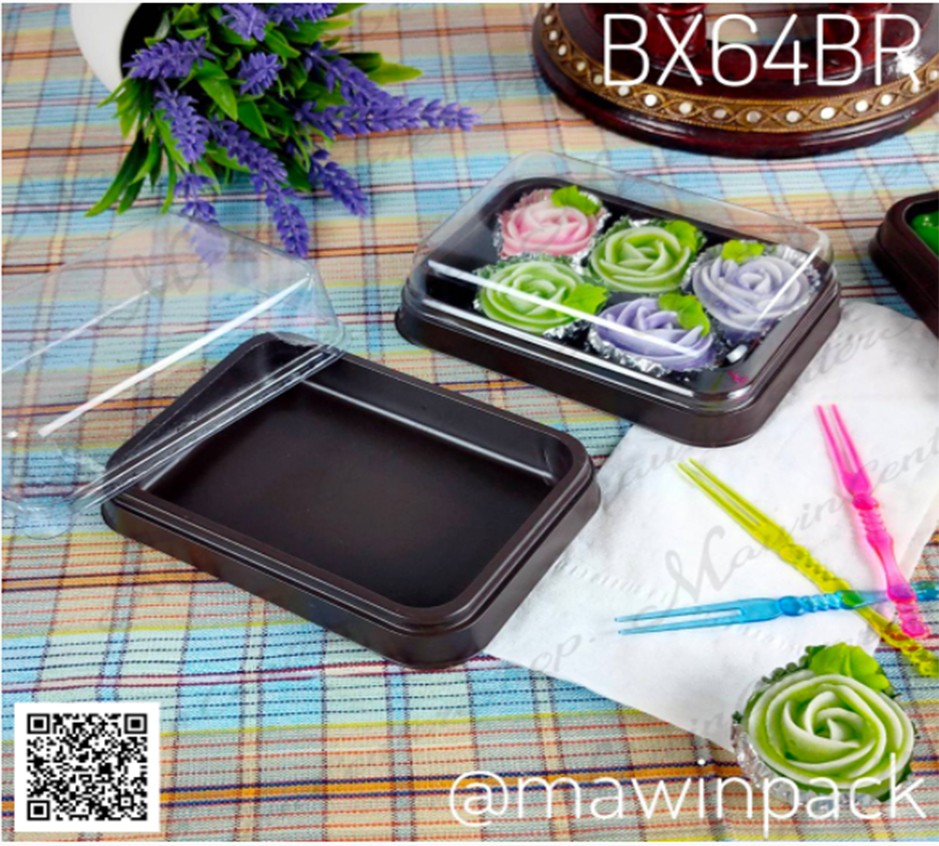 P101BX64BR