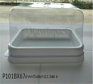 P101BX67WH