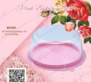 P101BX76PI