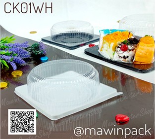 P101CK01WH