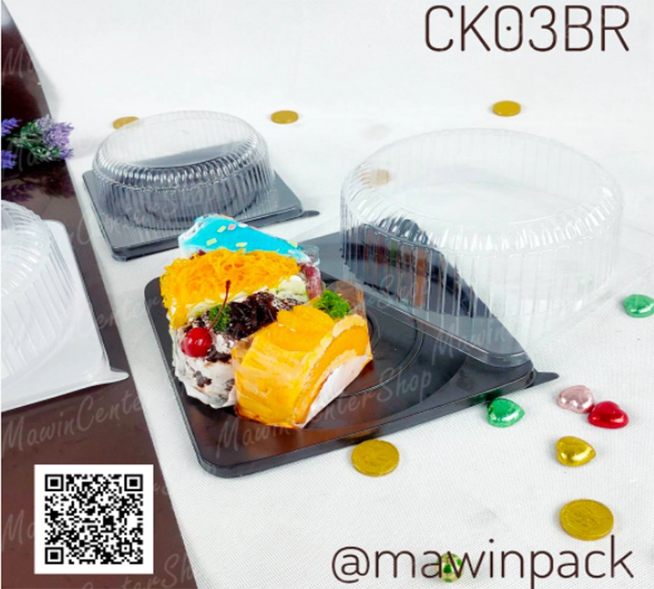 P101CK02BR