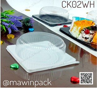 P101CK02WH