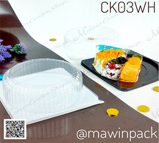 P101CK03WH