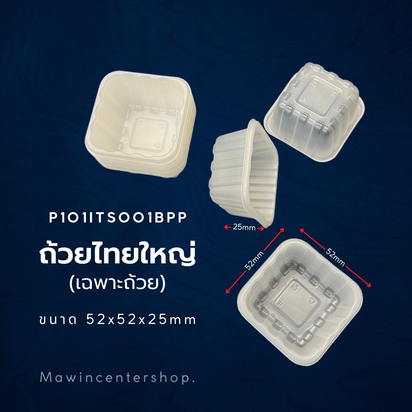 P101ITS001BPP