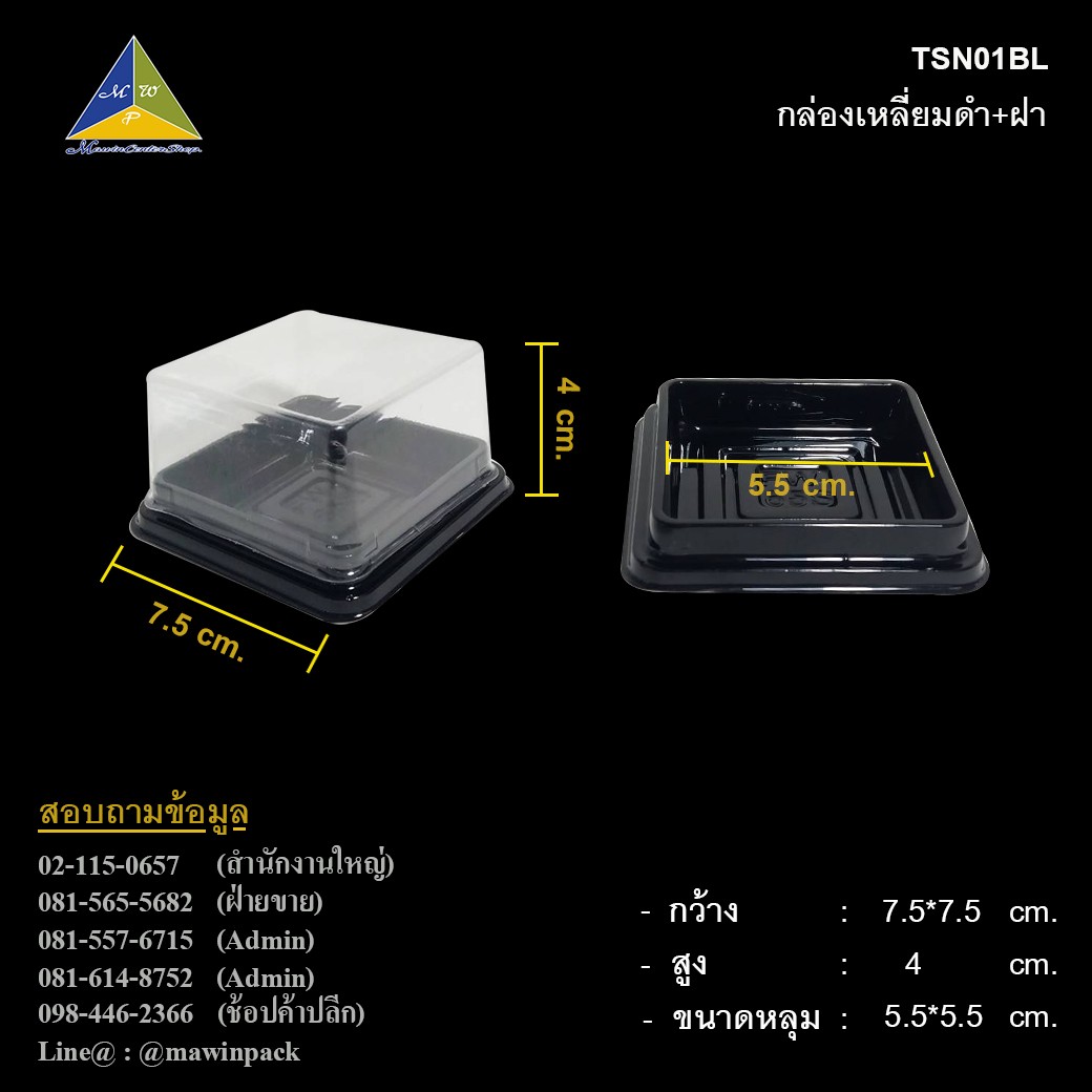 P101TSN01BL-2