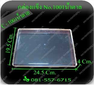 P111IC17BR