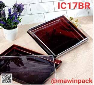 P111IC17BR