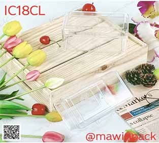 P111IC18CL