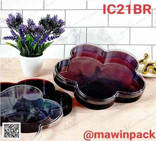 P111IC21BR