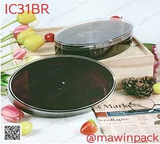 P111IC31BR