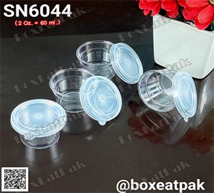 P111SN6044