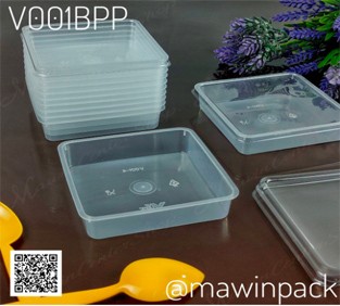 P111V001BPP