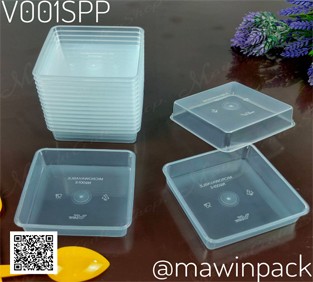 P111V001SPP