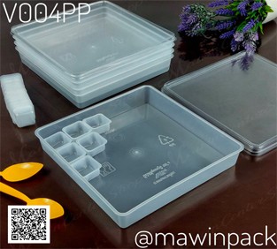 P111V004PP